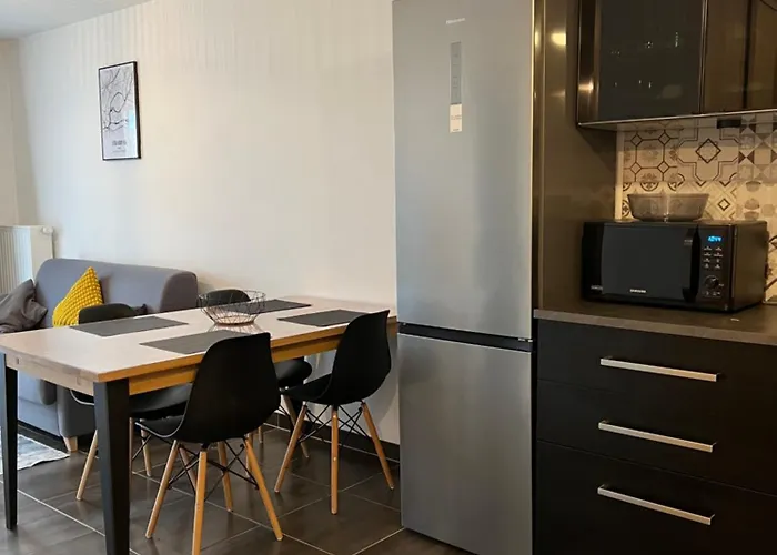 Lägenhet Moderne Et Lumineux Strasbourg