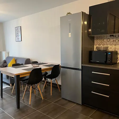 Appartamento Moderne Et Lumineux Strasburgo